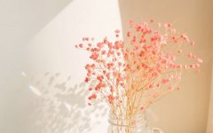 姓毛男孩寓意吉祥的名字大全