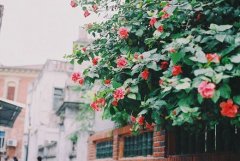 姓刁男孩寓意吉祥的名字大全