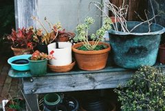 姓钟男孩寓意吉祥的名字大全