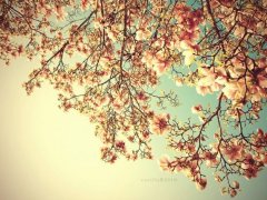 姓后男孩寓意吉祥的名字大全