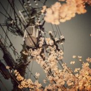 姓鲜于男孩寓意吉祥的名字大全