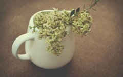 姓郏男孩寓意吉祥的名字大全