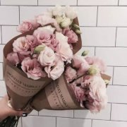 姓和男孩名字有诗意