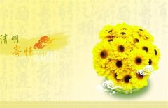 姓崔男孩名字有诗意