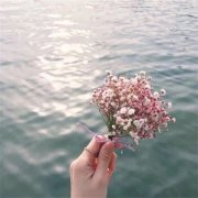 姓全男孩名字有诗意