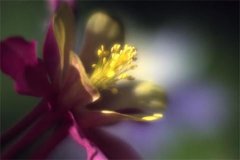 姓武男孩名字有诗意