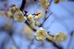 姓咸男孩名字有诗意