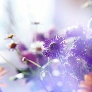 姓曾男孩有诗意名字