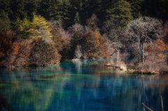 姓殳男孩名字有诗意