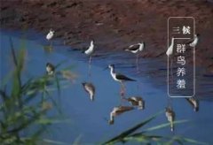 姓宇文男孩有诗意名字