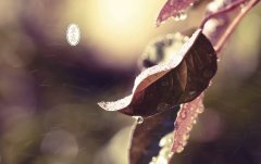 姓鲜于男孩有诗意名字