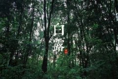 姓乐正男孩有诗意名字