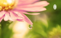 姓司寇男孩有诗意名字