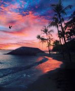 姓段干男孩有诗意名字