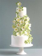 姓苏霸气的男孩名字