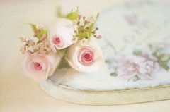 姓洪霸气的男孩名字