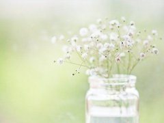 姓靳霸气的男孩名字