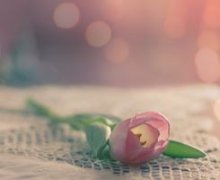 姓仲霸气的男孩名字