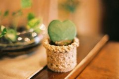 姓景霸气的男孩名字