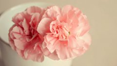 姓庾霸气的男孩名字