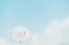 姓夏侯霸气的男孩名字