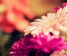 姓公羊霸气的男孩名字