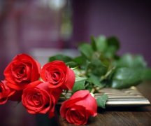 姓赫连霸气的男孩名字