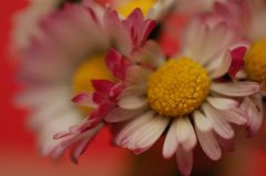 姓邵霸气的男孩名字