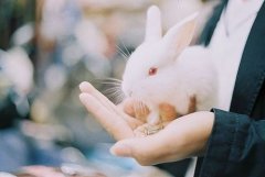 姓钟离霸气的男孩名字