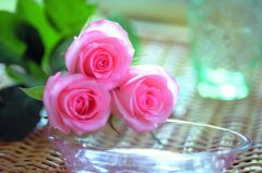 姓冯时尚的男孩名字