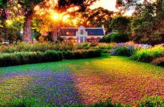 姓董男孩时尚的名字