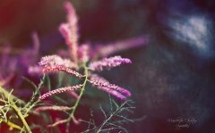 姓屈男孩时尚的名字