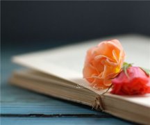 姓和男孩时尚的名字