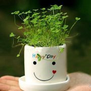 姓段男孩时尚的名字