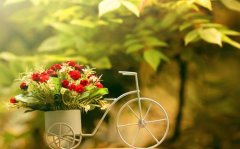 姓咸男孩时尚的名字