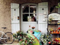 姓莘男孩时尚的名字