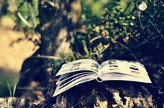 姓弘男孩时尚的名字