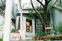 姓师男孩名字时尚的