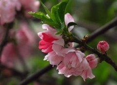 姓漆雕男孩名字时尚的