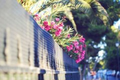 姓夹谷男孩名字时尚的