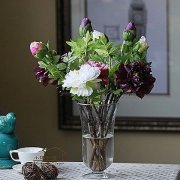 姓佘男孩名字时尚的