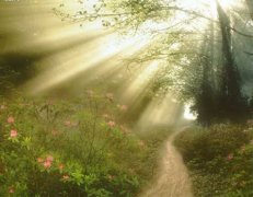 姓马男孩名字属猪2019好听的