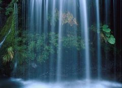 姓田男孩名字属猪2019好听的