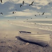 姓查男孩名字属猪2019好听的