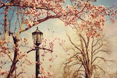 姓佘男孩名字属猪2019好听的