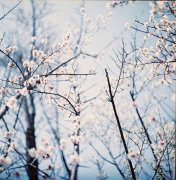 姓言男孩名字属猪2019好听的