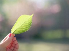 2019姓岑男孩名字洋气的