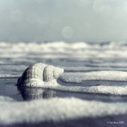 2019姓江男孩名字洋气的