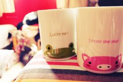 2019姓石男孩名字洋气的