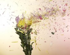 姓宫男孩名字大全2019